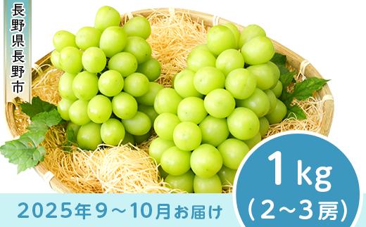 
            J0498 長野市産 シャインマスカット1kg【2025年9月以降出荷分】フルーツ ぶどう 葡萄 ブドウ 果物 人気 種なし 新鮮 期間限定 令和7年 2025年発送 おすすめ 産地 お届け 長野市 長野県
          