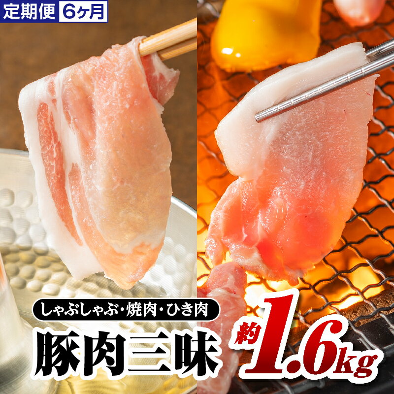 【ふるさと納税】 定期便6ヶ月 まる姫ポーク 豚肉三昧 約1.6kg ( 肩ロース バラ モモ切り落とし 粗ミンチ ) 6回配送 総計約9.6kg 【AK-6】 しゃぶしゃぶ 焼き肉 国産 まる姫ポーク 豚肉 ぶた肉 肉 豚バラ肉 バラ肉 挽肉 ミンチ 切り落とし 定期便 小分け パック 江津市