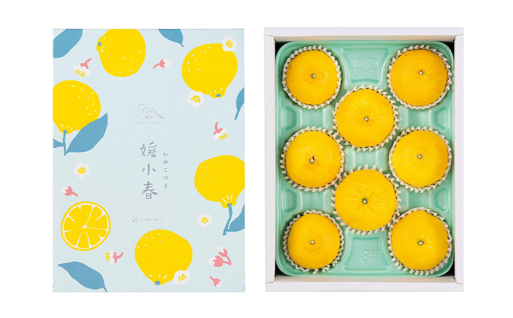 愛媛県産 媛小春 1.5kg（8～13個） みかん 果物 フルーツ 【2026年1月下旬～2月上旬発送予定】（874）