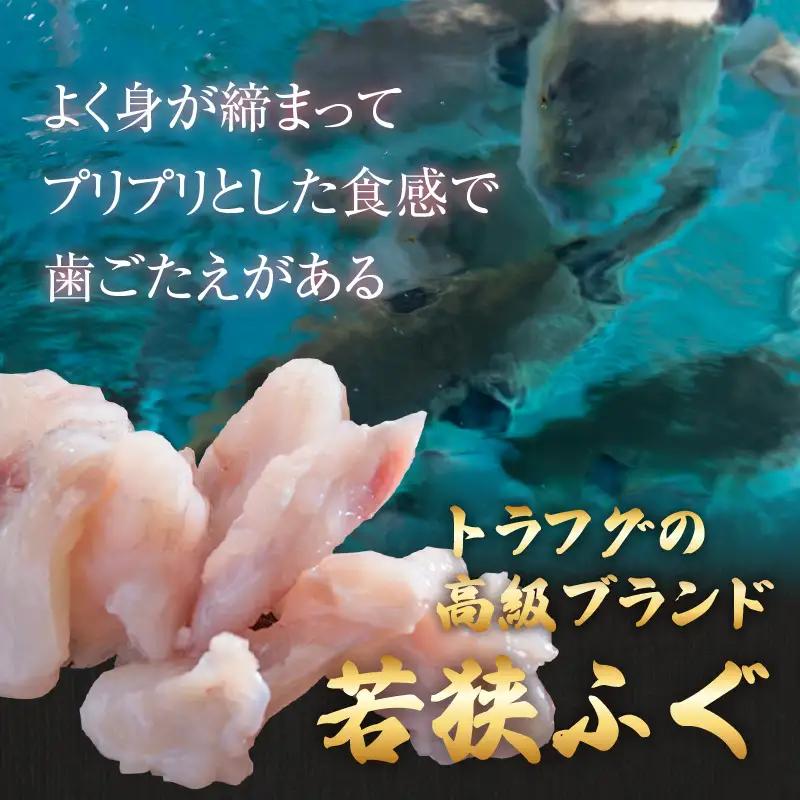 【先行予約】【国産とらふぐ】ふぐ鍋セット 3-5人前 【2026年10月より順次発送】北陸 福井 家庭用