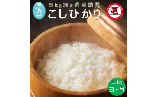 【3ヶ月定期便】 新米 令和7年産 無洗米コシヒカリ 5kg 3ヶ月【千葉県産】【お米マイスター厳選】