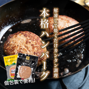 宮崎県産黒毛和牛100%ハンバーグ個包装(10個/冷凍)・ 宮崎県産ポークハンバーグ個包装(10個/冷凍)　K16_0157