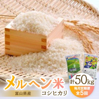 ふるさと納税 小矢部市 【毎月定期便】富山県メルヘン米コシヒカリ計50kg(10kg×5回)全5回