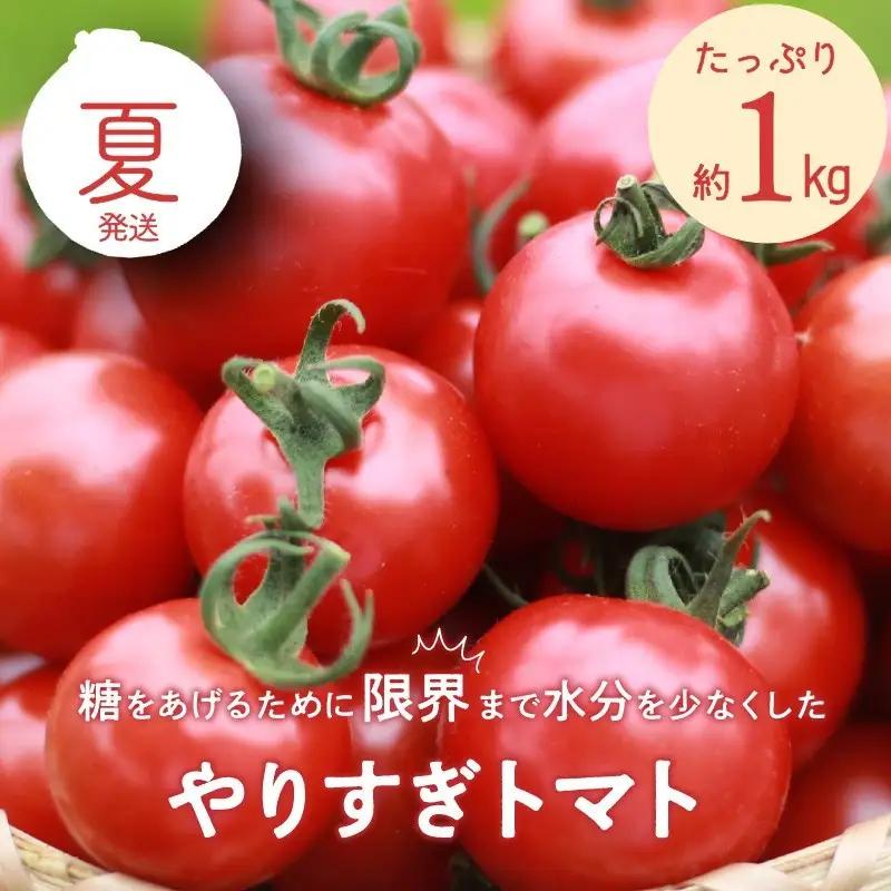 【トマト】高糖度やりすぎトマト 1kg（2026年6月上旬～発送）