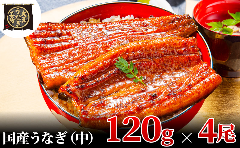 うなぎ蒲焼 120g×4尾(480g) うなぎ ウナギ 鰻 蒲焼 蒲焼き冷凍 国産 大五 大五通商 静岡 島田市