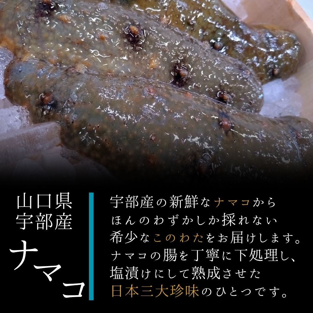 このわた 【宇部産】このわた 80g×2 このわた 海鼠腸 コノワタ ナマコの腸 日本三大珍味 宇部産このわた 瀬戸内海産