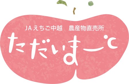 先行予約 シャインマスカット 1房(700g以上) [9月上旬から発送予定] 令和7年度 新潟県産 種なし ぶどう マスカット [JAえちご中越]【010S079】
