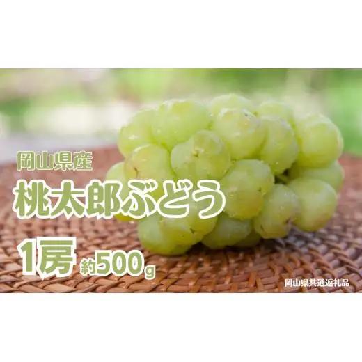桃太郎ぶどう 1房 約500g 岡山県産 【先行予約 2026年8月下旬から順次発送】