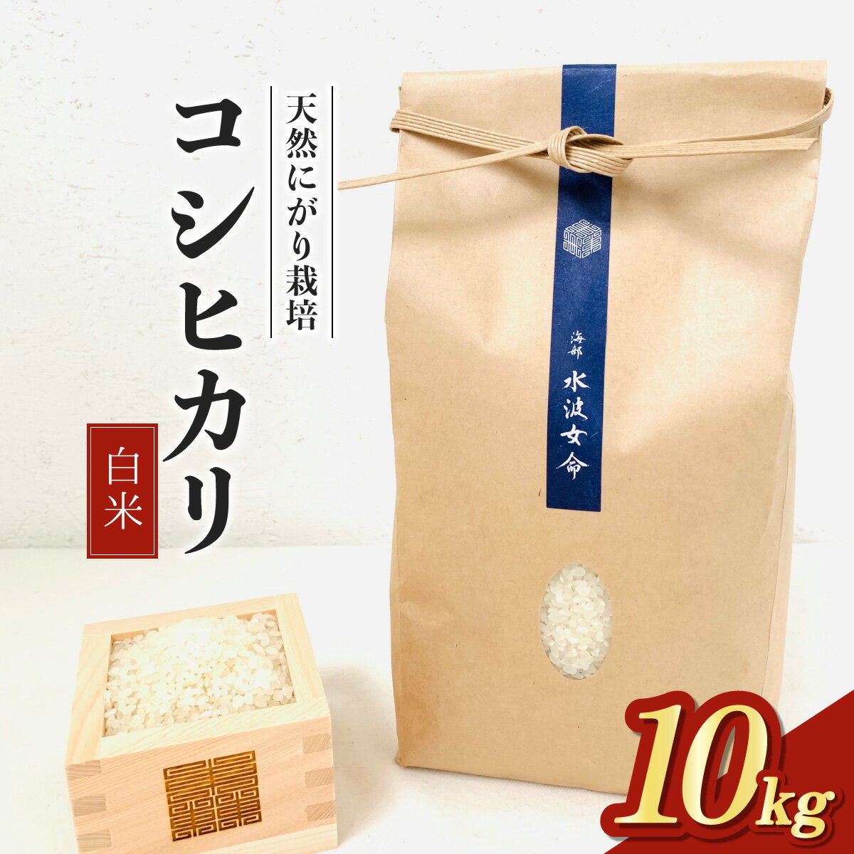 【ふるさと納税】【先行予約】コシヒカリ白米 10kg 令和8年産 天然にがり栽培 こしひかり【2026年10月以降順次発送】