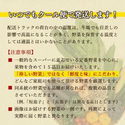 ふるさと納税 時津町 野菜のプロ40年が届ける厳選野菜セット 果物付き 15品目以上 詰め合わせ |  | 03