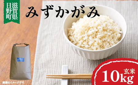 令和7年産 米 みずかがみ 玄米 10㎏ ( 1袋 )
