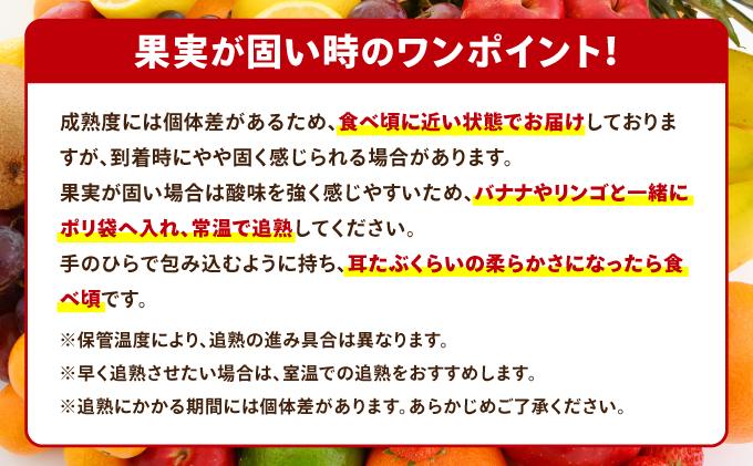 ＜定期便・全3回＞九州・福岡もぎたて フルーツ定期便 A