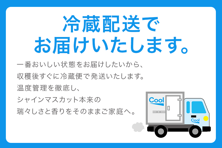 ＜2025年 先行予約＞ シャインマスカット 数量限定 3kg 農園直送 期間限定 果物 フルーツ ブドウ 葡萄 ぶどう 8月下旬以降発送 冷蔵 小美玉市 70-J