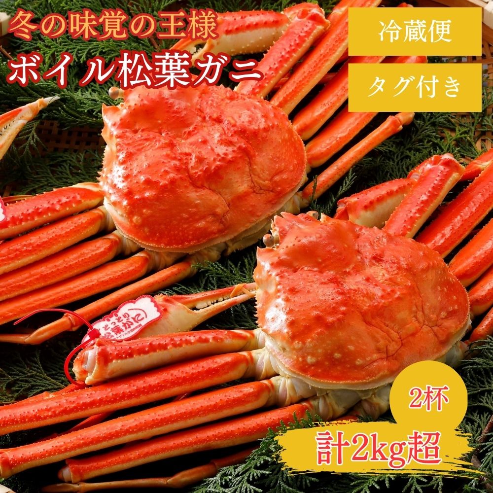 【ふるさと納税】特撰 松葉がに 【タグ付き】 1kg超の大きいサイズ 特大2杯 着日指定不可 （11月発送）N2_Y ボイル 松葉ガニ カニ ズワイガニ カニ爪 冷蔵