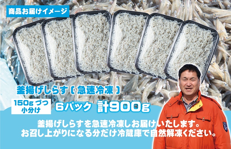 しらす漁師 濱ちゃんのこだわり 減塩 釜揚げしらす 900g（150g×6P）