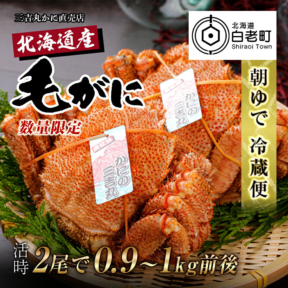 【ふるさと納税】数量限定【朝ゆで】北海道産ボイル毛ガニ2尾で活時0.9-1kg AS146