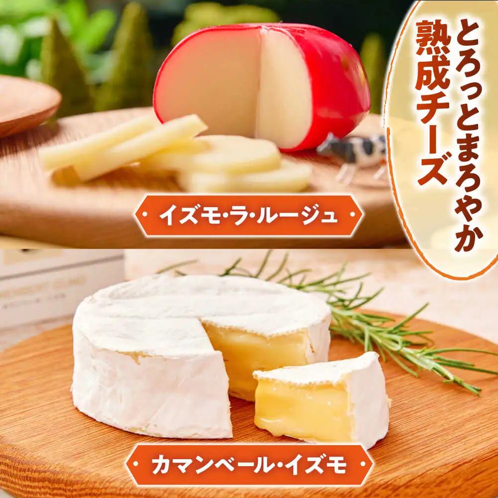 乳製品 乳製品セットDX（プリン・ヨーグルト・4種のチーズ）[AIBH012]