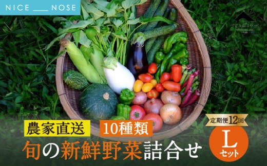[定期便 12回] 【大阪能勢産】 《農家直送》 べじたぶるぱーくの旬の新鮮野菜詰合せ Lセット (10種類) | 12回(毎月) 定期便 12ヶ月 定期 野菜詰め合わせ 野菜 農薬 化学肥料不使用 新鮮 産地直送 季節 旬 | 大阪府 能勢町 送料無料
