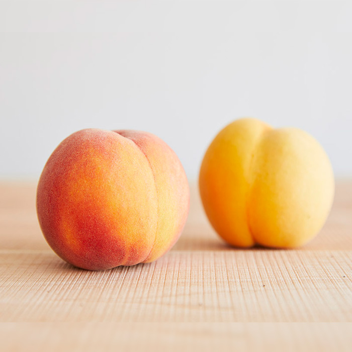 【100箱限定】甘みが特徴の山形産黄色い桃 光月 秀品 約3kg 【令和8年産先行予約】FS25-648