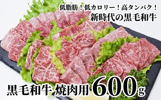 
076-32 黒毛和牛 焼肉用 600g 牛肉 低脂肪 高タンパク 希少部位 ミスジ ヒウチ 三角バラ ザブトン 厳選 焼肉 冷凍 カミチク 南九州市
