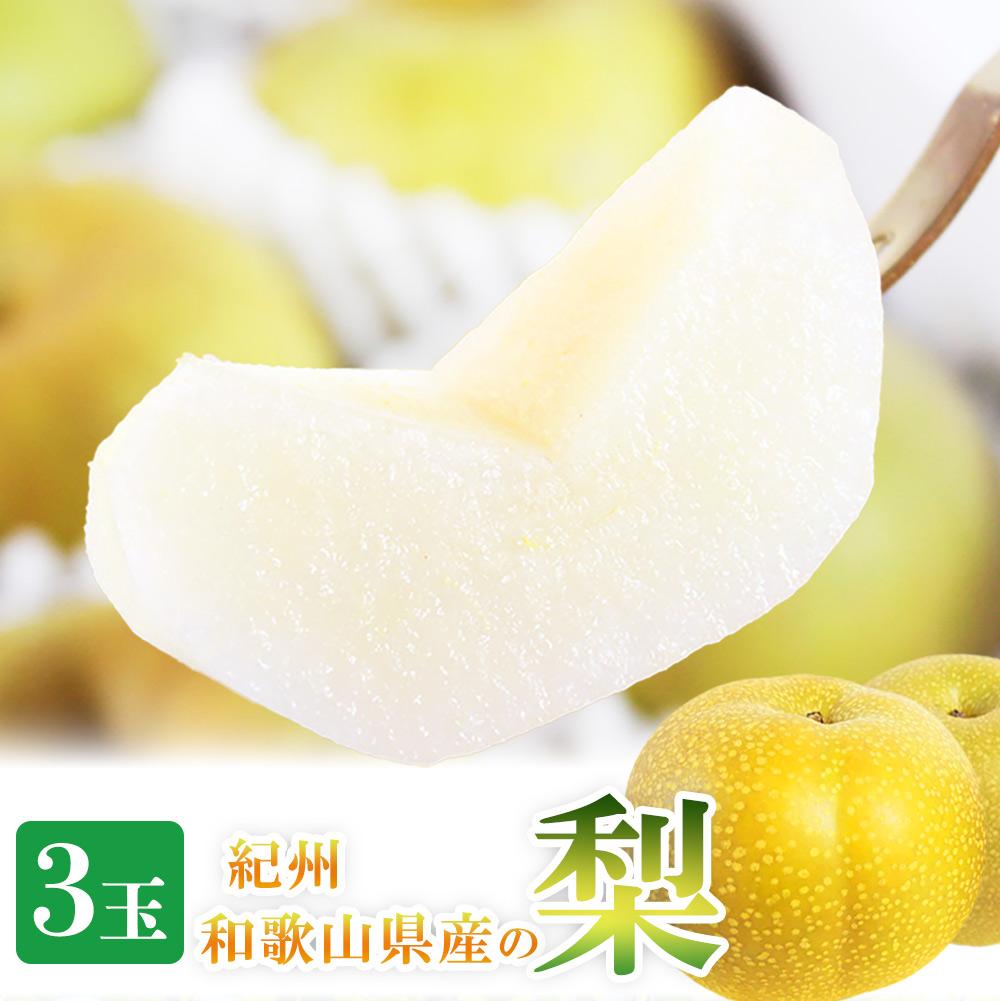 【ふるさと納税】梨 3玉 化粧箱入 紀州和歌山 かつらぎ産［2026年8月中旬以降発送予定］［UT98］ | フルーツ 果物 くだもの 食品 人気 おすすめ 送料無料