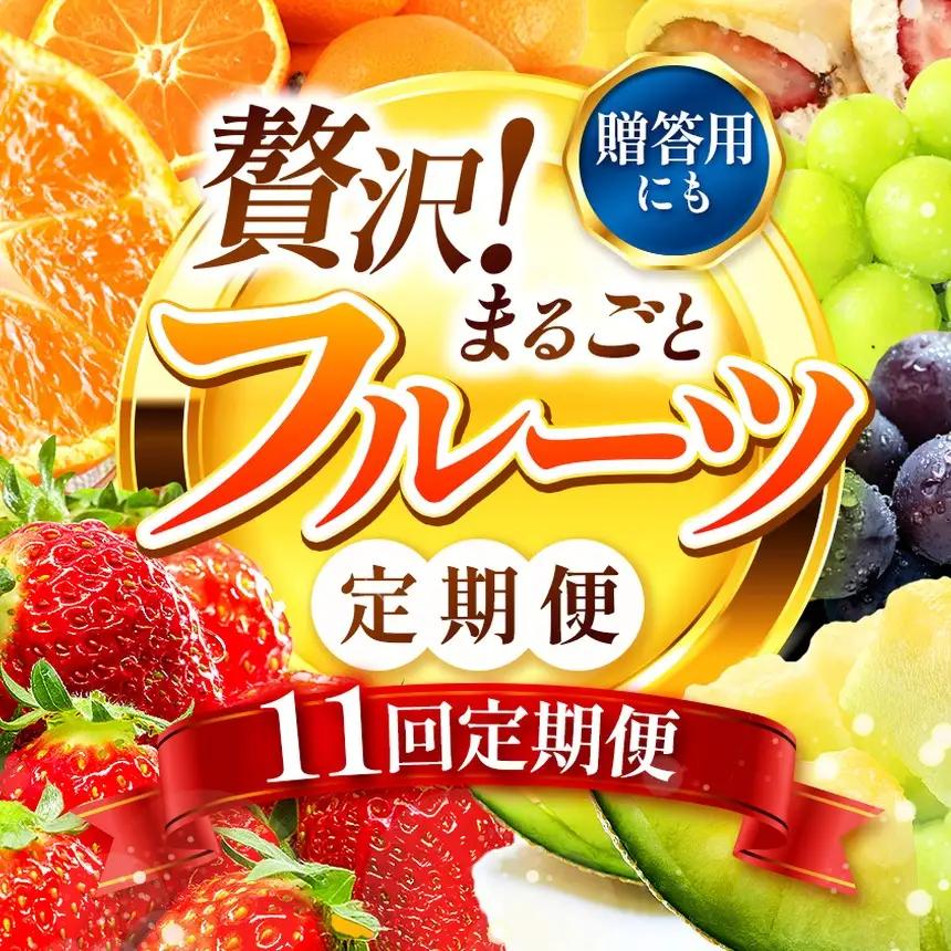 【 定期便 11回 】【フルーツ定期便】 高評価 果物 フルーツ 選べる発送回数 （いちご みかん 不知火 スイカ ぶどう メロン シャインマスカット 梨 柿 アイス クレープ） 2回 ~ 12回 1年 フルーツ定期 フルーツ定期便 果物定期便 果物定期 定期便 フルーツ 果物 お試し 旬 取れたて  熊本県 玉名市