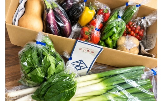 大山の麓から届く 國吉農園の旬野菜BOX  Lセット（4～5人分目安） KN-03