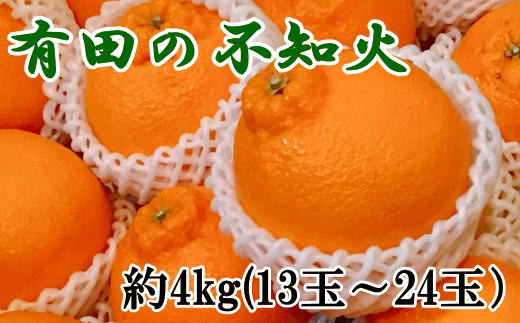 【濃厚】有田の不知火約4kg（13玉～24玉おまかせ） ※2025年2月上旬～2025年3月下旬頃に順次発送予定（日付指定不可）【tec863A】