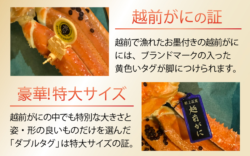 越前ずわいがに 約1.1kg×1杯 タグ（ダブル）付 [L-044003]
