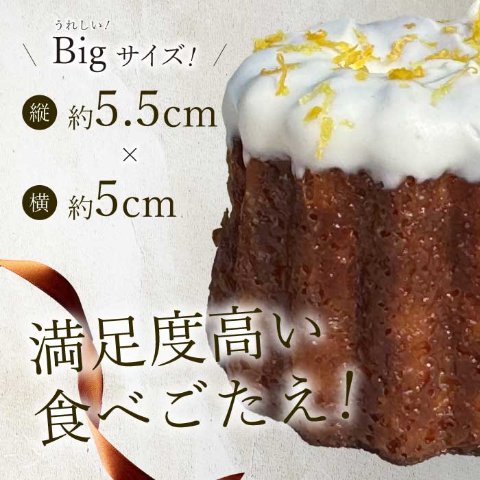 【Bistro gascogne】cannelé（カヌレ）4種16個入り 本場フランス スイーツ お菓子 洋菓子 焼き菓子 ご褒美 瀬戸内 229001