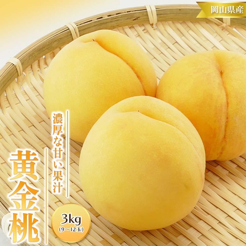 【ふるさと納税】桃 2025年 先行予約 黄金 桃 3kg 9～12玉 もも モモ 岡山 国産 フルーツ 果物 ギフト 桃茂実苑 | もも フルーツ 果物 くだもの 食品 人気 おすすめ 送料無料
