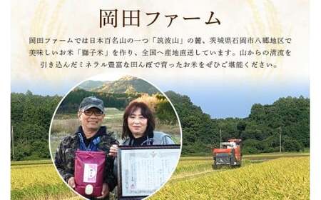 【令和7年産】獅子米 にじのきらめき 精米 5kg 岡田ファーム お米 白米 米 おこめ ブランド米 にじのひらめき 5キロ 30袋 限定 国産 単一原料米 コメ こめ ご飯 銘柄米 茨城県産 茨城 