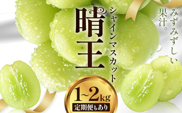 
            【2026年発送先行予約】シャインマスカット 晴王 2房 ～ 5房 定期便 シャイン マスカット《2026年9月中旬-10月中旬頃出荷予定》 晴レ乃青果(岡山中央卸売市場店(富士紙工有限会社)) 送料無料 岡山県 浅口市 フルーツ 果物 岡山県産【配送不可地域あり】
          