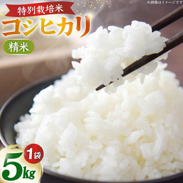 【ふるさと納税】 米 令和7年 特別栽培米 コシヒカリ 5kg×1袋 [久保農園 石川県 中能登町 nk17bim770001] お米 こめ コメ kome こしひかり 5キロ 能登 令和7年産 精米
