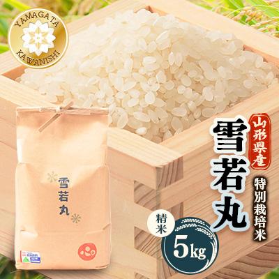 ふるさと納税 川西町 【令和7年産】特別栽培雪若丸　精米 5kg
