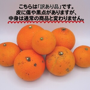 訳あり 愛媛 まどんな 3kg みかん 家庭用 サイズミックス 12000円 愛果28号 紅まどんな 同品種 あいか アイカ 高級 人気 ブランド 柑橘 果物 フルーツ 数量限定 期間限定 産地直送 