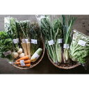 【ふるさと納税】新鮮！農家直送の野菜セット［6回定期便／5～12月］
