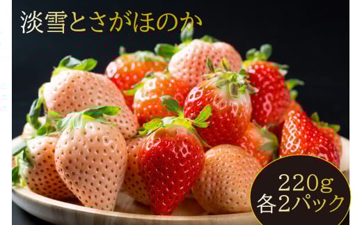 
                  【セット】岸川農園のいちご「さがほのか&淡雪」各2P
                