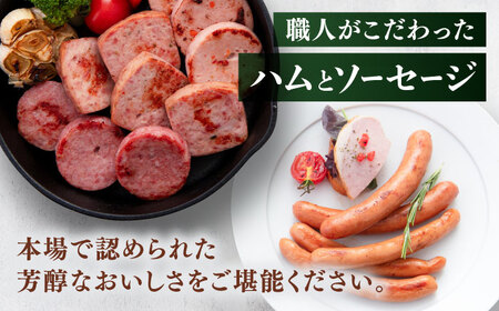 【本場ドイツで連続金賞受賞】マイスター ギフト セット 10種 詰め合わせ ( ハム / ソーセージ / ウインナー) 糸島市 / 糸島手造りハム [AAC001]  詰め合わせ ランキング 上位 人