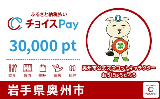 
                  奥州市チョイスPay 30,000pt【会員限定のお礼の品】
                