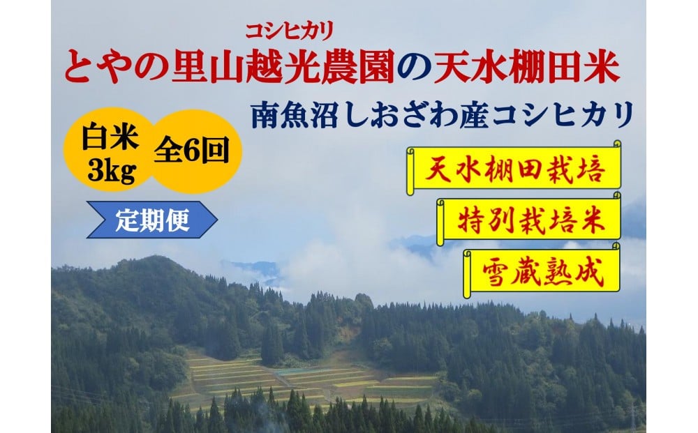 
            令和7年産定期便【とやの里山越光農園の天水棚田米】特別栽培米雪蔵熟成しおざわ産コシヒカリ　精米3kg全6回　2025年12月下旬より発送
          