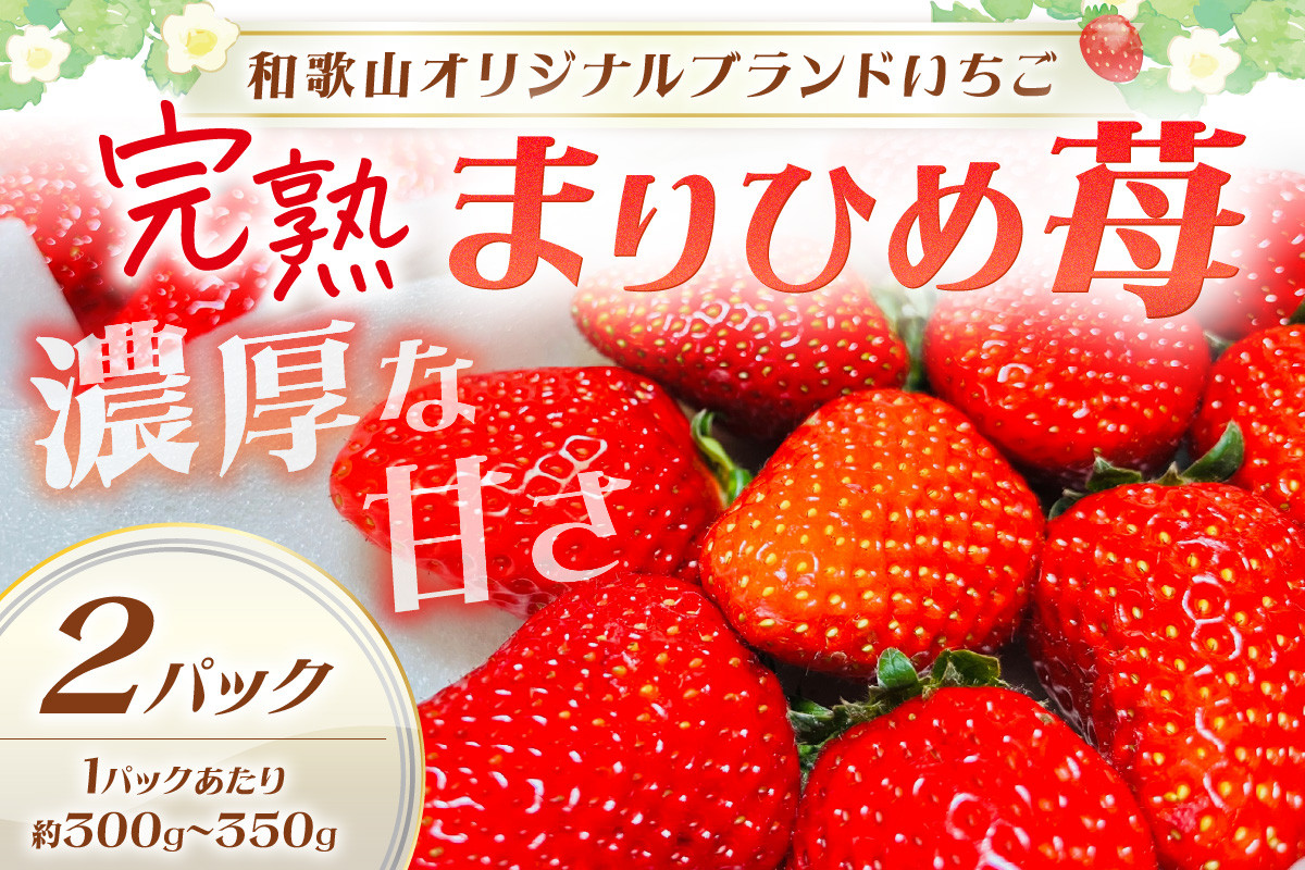 
            【和歌山オリジナルブランドいちご】完熟まりひめ苺　２パック【配送不可地域：北海道・沖縄・離島】《先行予約》
          