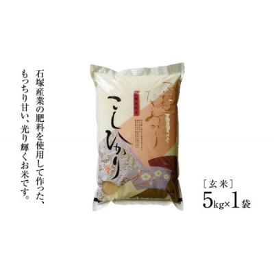 ふるさと納税 那珂市 《 令和7年産 》 コシヒカリ 玄米 5kg (茨城県共通返礼品 かすみがうら市)
