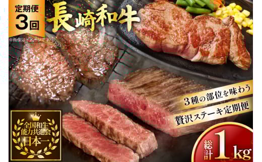 牛肉 和牛 定期便 長崎和牛 ステーキ 食べ比べ 3回 ヒレ ランプ サーロイン 総計1.0kg [黒牛 長崎県 東彼杵町 hs42bag750004] 赤身肉 赤身肉ステーキ 赤身ステーキ ヒレステーキ サーロインステーキ ランプ