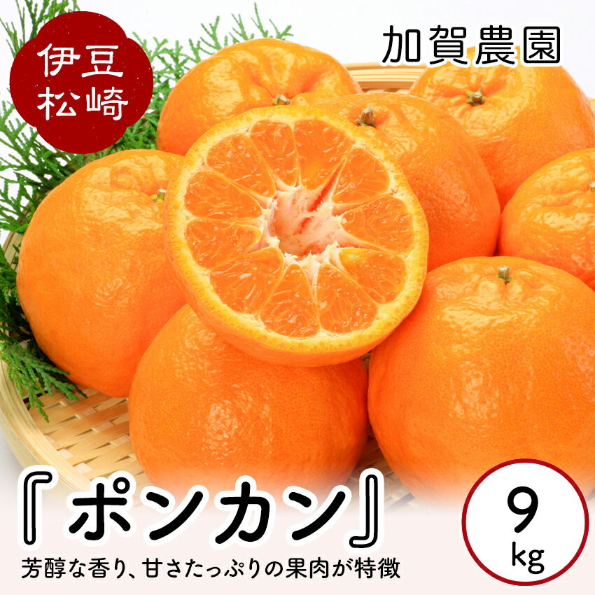 【ふるさと納税】加賀農園 ポンカン 約9kg～10kg
