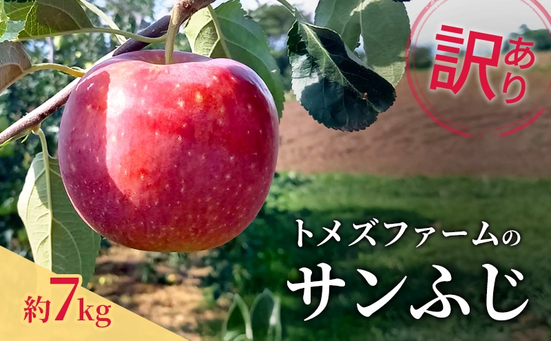 
                  サンふじ（訳あり） 約7kg　トメズファーム　りんご　長野　信州　小諸　果物　フルーツ [№5915-1668]
                