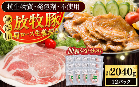 放牧豚 放牧豚 肩ロース生姜焼き 計2040g（170g×12） 精肉 小分け 冷凍 北海道 [AXBA126]