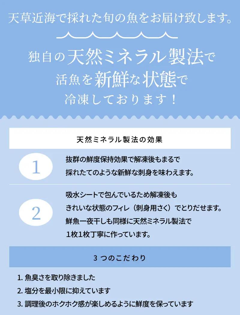 S059-005A_いつでも刺身 3魚種 3枚＆鮮魚一夜干し 3枚セット / 鮮魚 刺し身 お刺身 刺身 干物