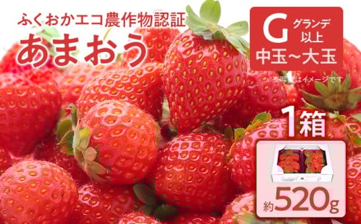 ふくおかエコ農作物認証あまおう G以上【選べる】 あまおう イチゴ 苺 いちご フルーツ 果物 くだもの 福岡県産 お取り寄せグルメ お取り寄せ 福岡 お土産 九州 福岡土産 取り寄せ グルメ 福岡県