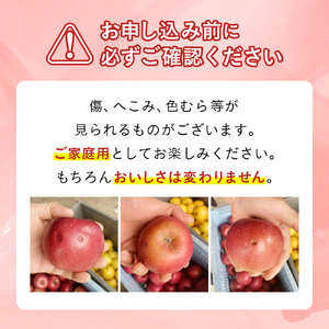 【先行予約】令和6年産 りんご サンふじ 訳あり 3kg (8～11玉)  11月中下発送予定 数量限定 人気 お試し 甘い 旬 果物 リンゴ フルーツ 林檎 岩手県 金ケ崎町